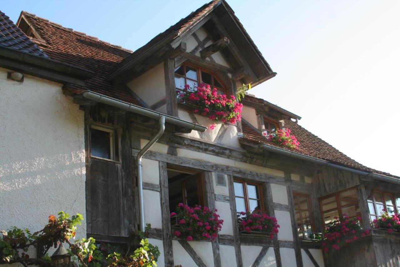Hotel Gaestehaus Theresia Garni Muhlheim an der Donau ภายนอก รูปภาพ