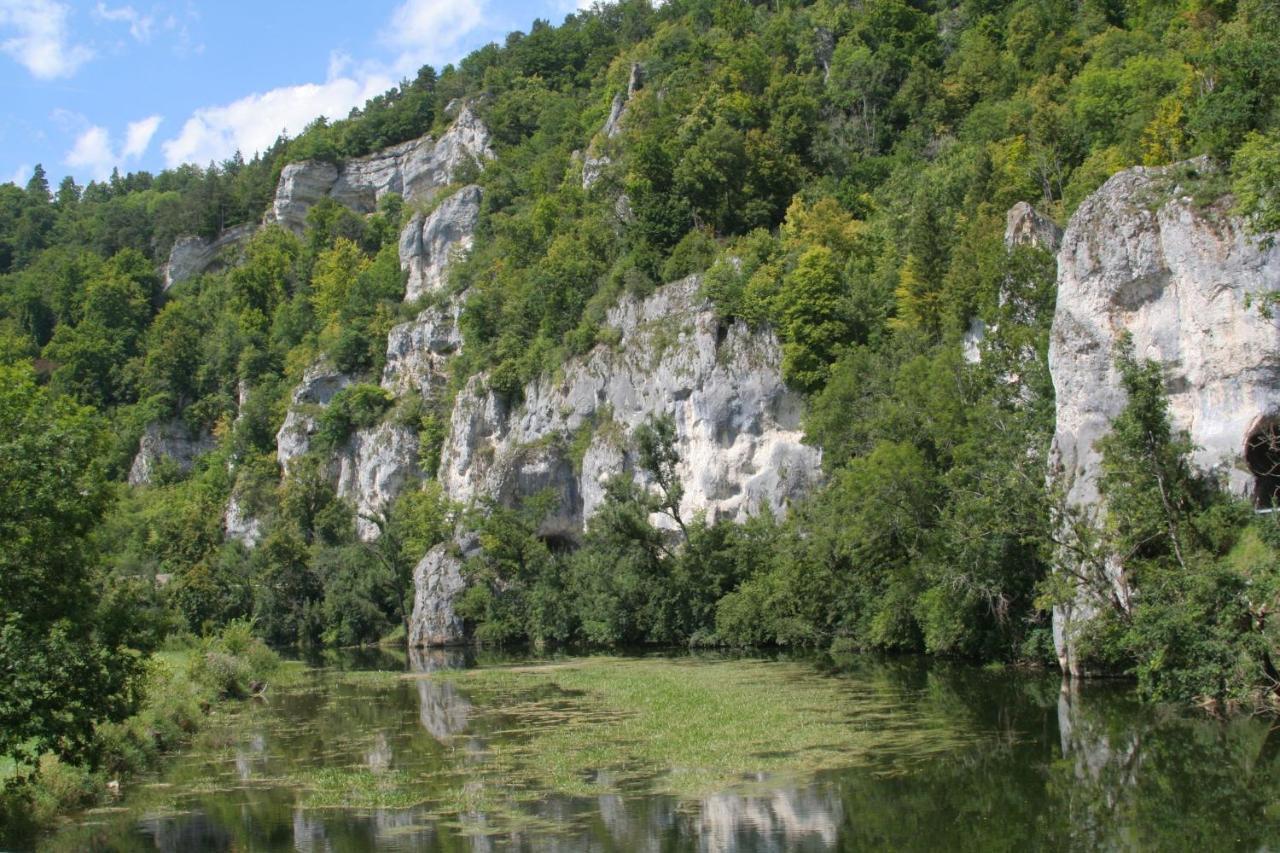 Hotel Gaestehaus Theresia Garni Muhlheim an der Donau ภายนอก รูปภาพ